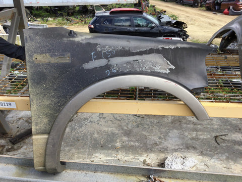 Guardalodo (Fender) Der Ford F-150 04-05