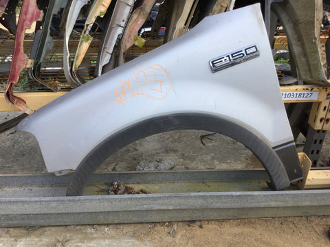 Guardalodo (Fender) Der Ford F-150 09-14