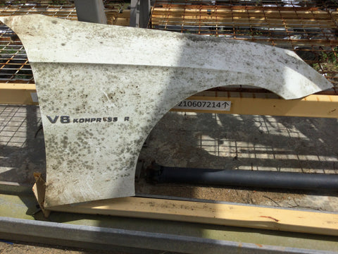 Guardalodo (Fender) Der Mercedes Benz 06-11