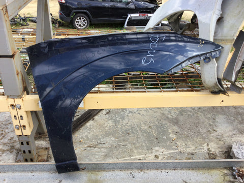 Guardalodo (Fender) Izq Ford Focus 05-07