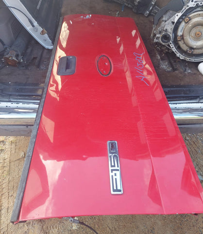 Compuerta Ford F-150 04-08
