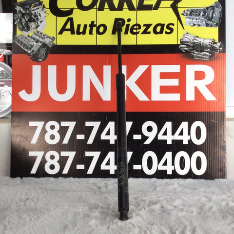 Botella der (Lift Cylinder Support) Toyota Rav4 19-20