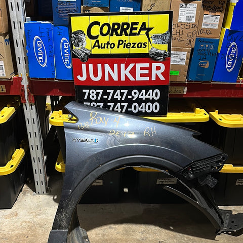 Guardalodo RH Toyota Rav4 13-18