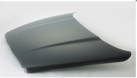 Bonete Dodge Ram 1500 02-08 (R1500)(EXC Mega Can 06-08)