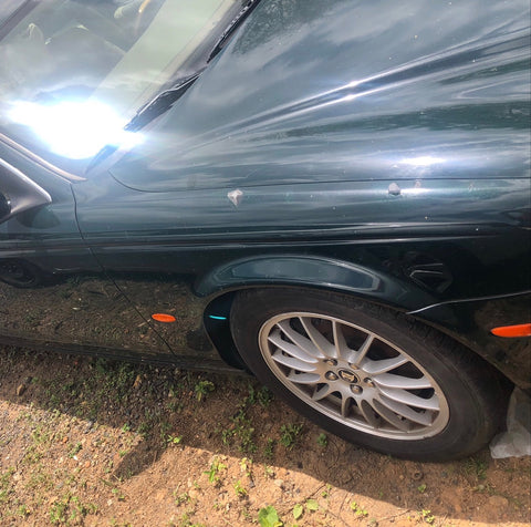 Guardalodo der Jaguar S 00-08