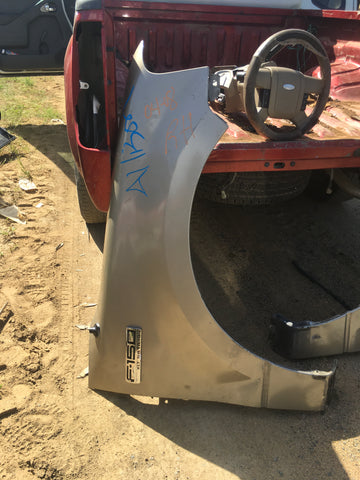 Guardalodo der Ford F-150 04-08