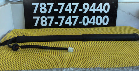 Botella izq (Lift Cylinder Support) Toyota Highlander 14-19