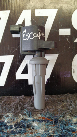 Bobina Ford Escape 13-19