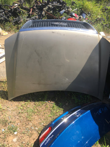 Bonete Ford F-150 04-08