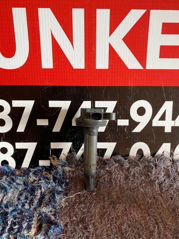 Bobina Ford Edge/Explorer 13-18