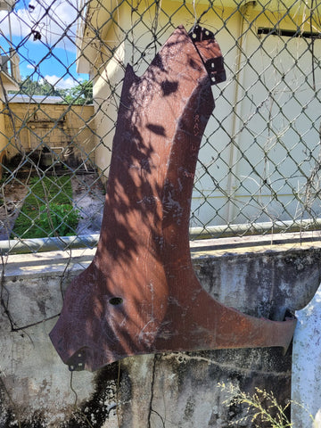 Guardalodo de Toyota RAV 04-06