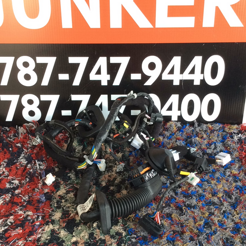 Rabiza de Puerta Izq Hyundai Tucson 15-20