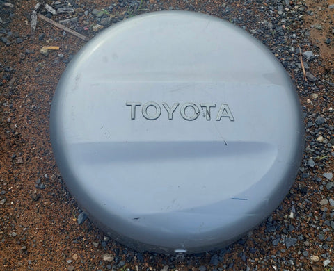 Cover Compuerta Toyota Rav4 01-05