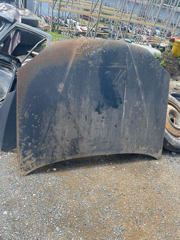 Bonete Suzuki Forenza 04-06