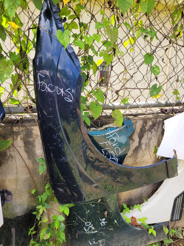 Guardalodo de Ford Focus 2000