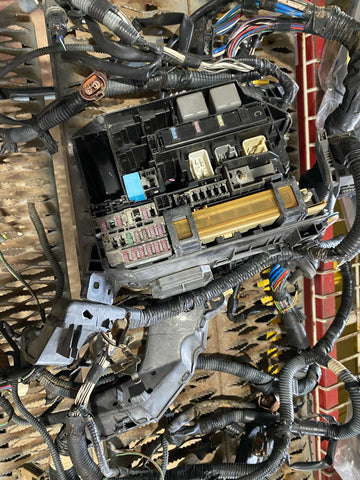 Rabiza con Caja de Fusible Toyota Corolla 09-14