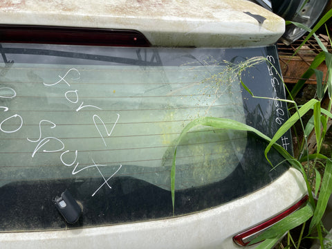 Compuerta Ford Ecosport 18-21